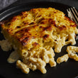 Truffled Mac & Cheese with Pecorino Cream & Pangrattato Crumbs
